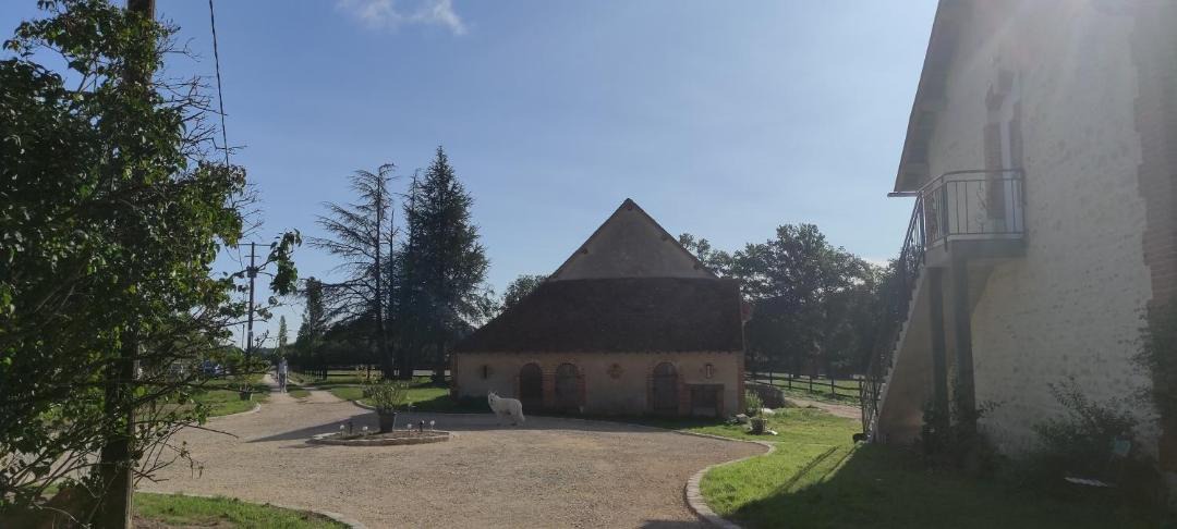 Photo of Buildings in Lorris