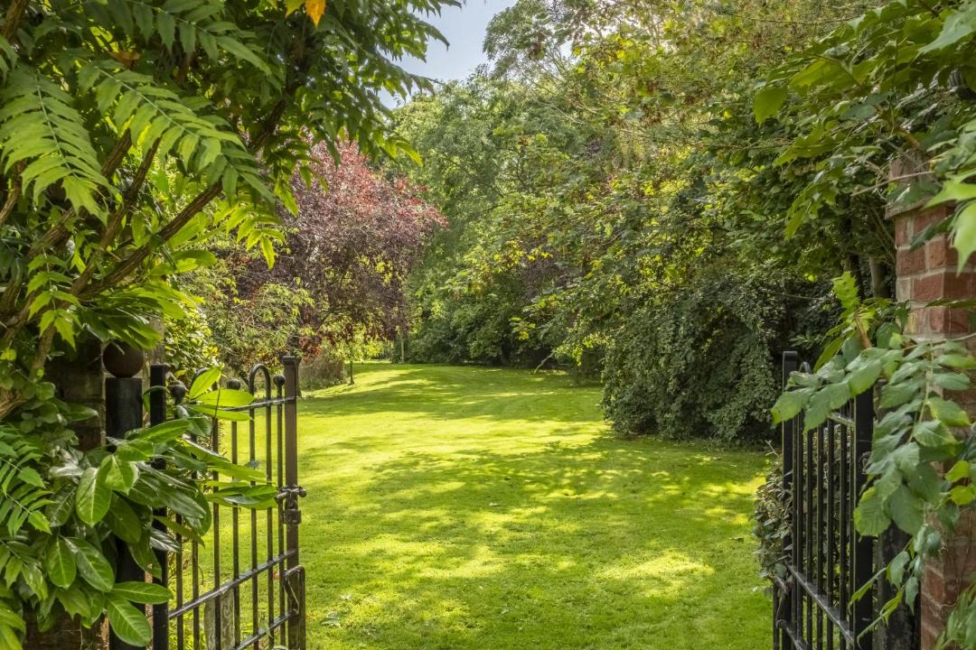 Photo of Others in Palgrave