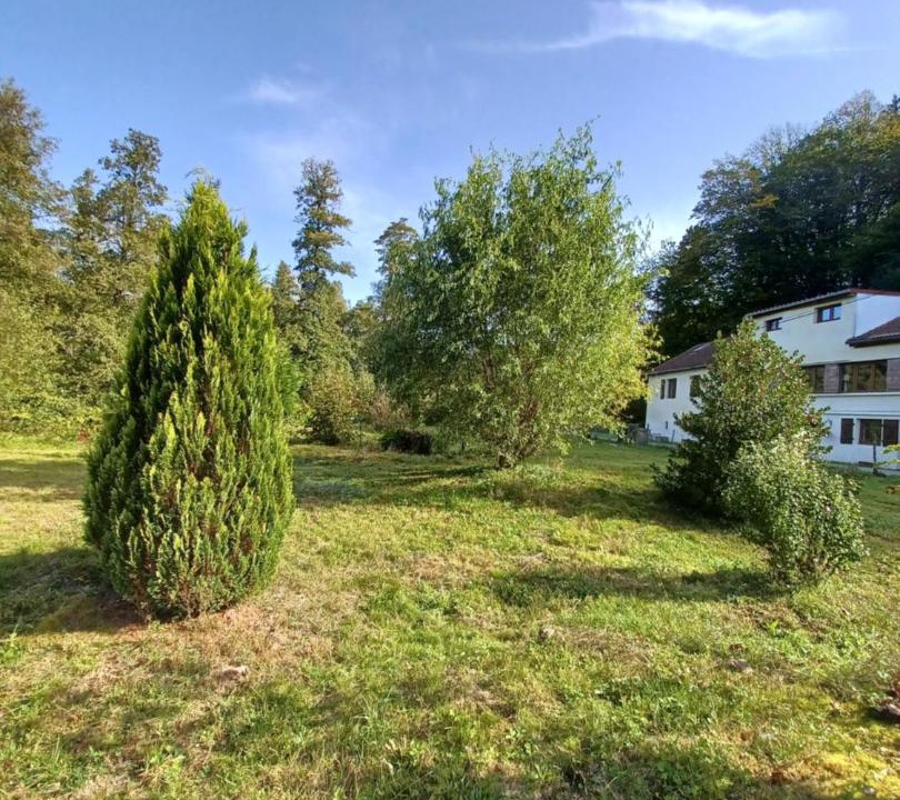 Photo of Others in Moussey