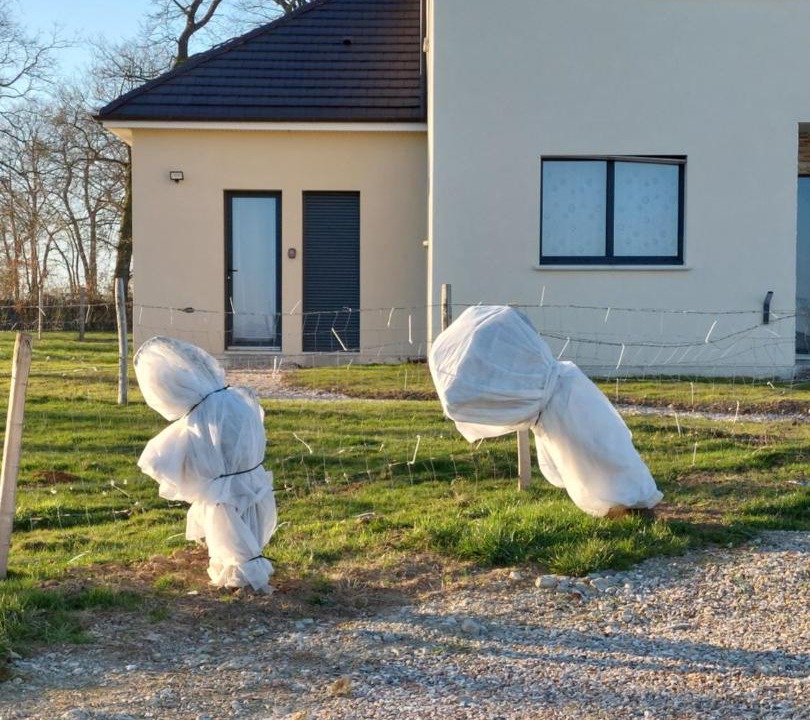 Photo of Others in Vieux-Manoir