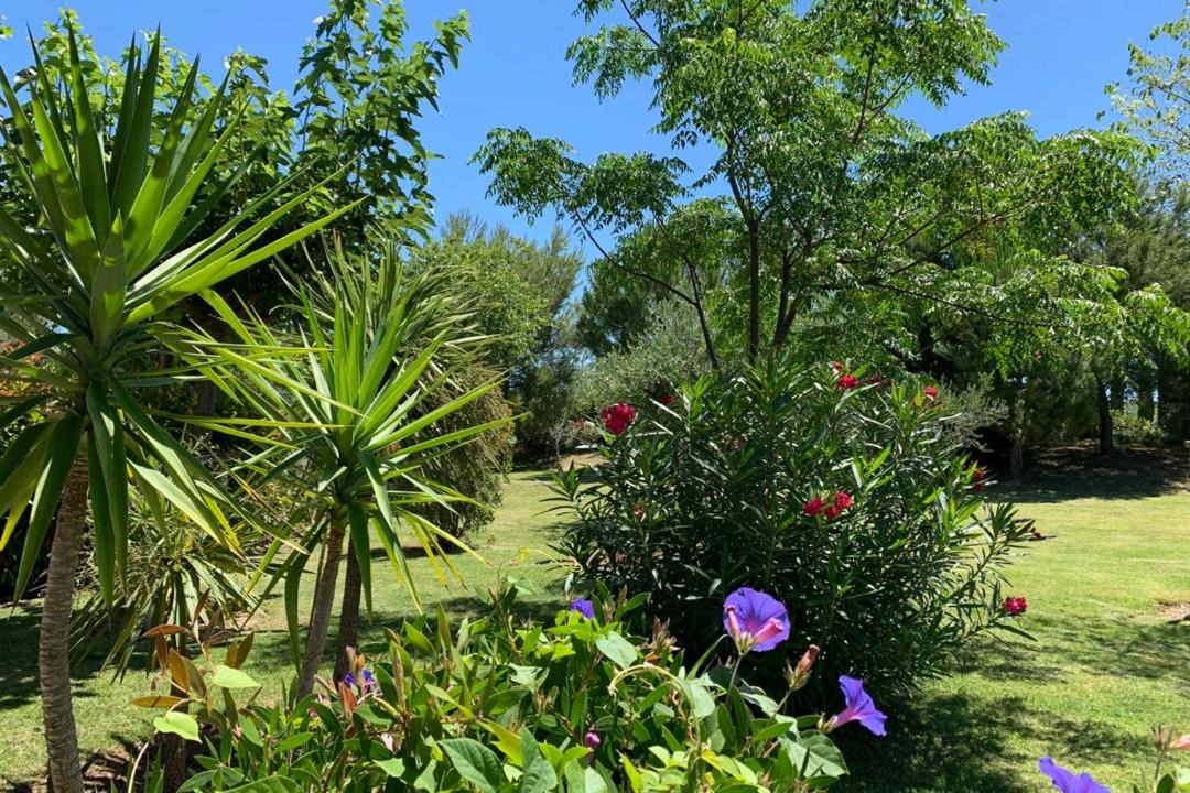 Photo of Outdoor in Plaissan