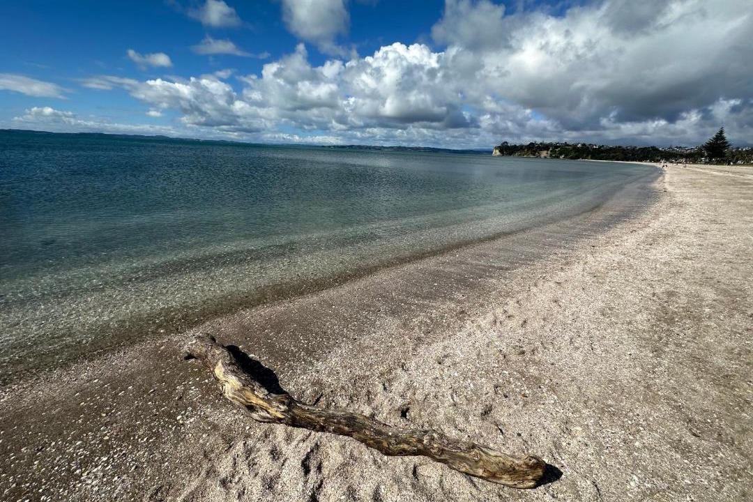 Photo of Others in Sunnyhills