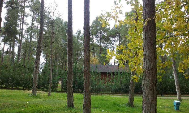 Photo of Others in Cuenca