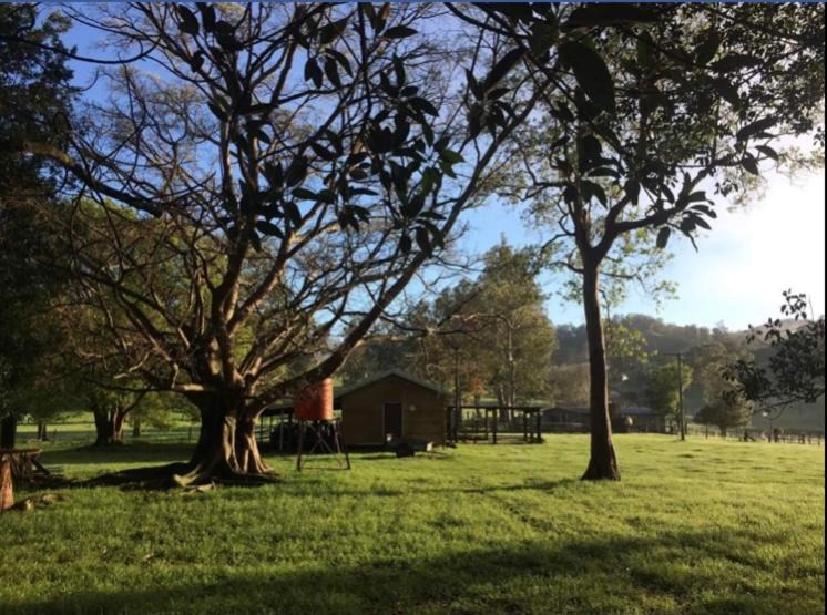 Photo of Others in Coolabine