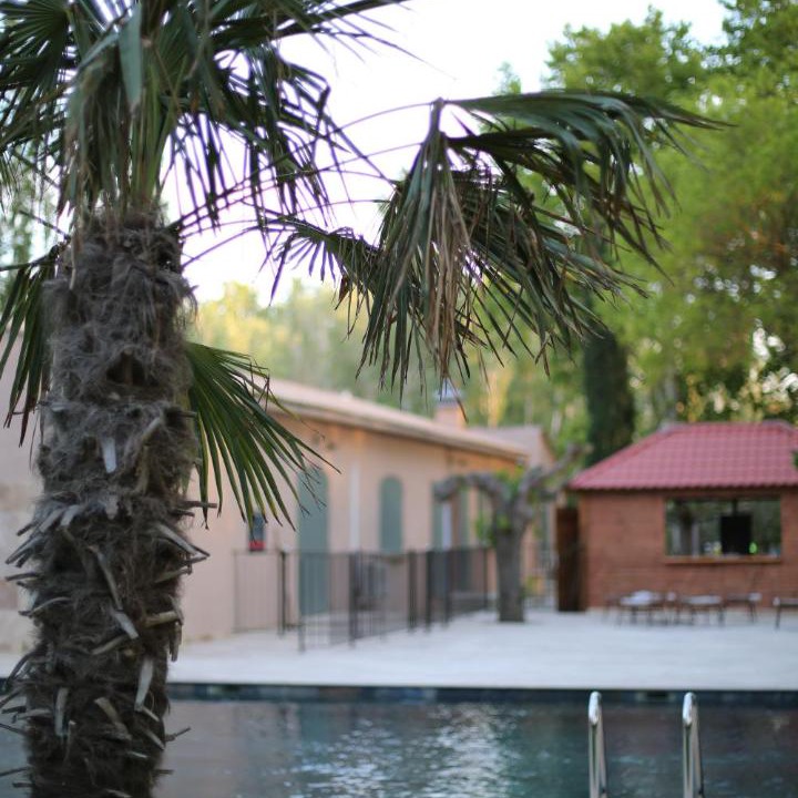 Photo of Others in Avignon