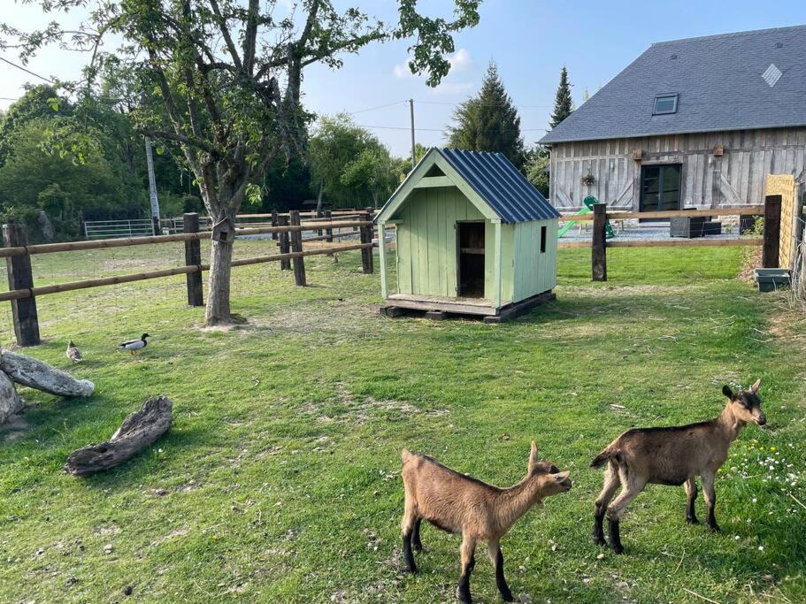 Photo of Others in Beuzeville