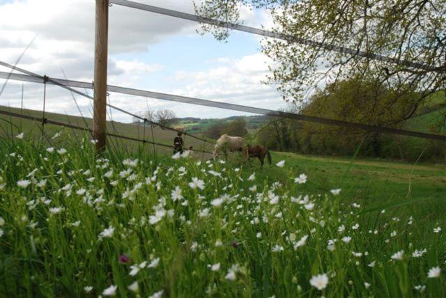 Photo of Others in Riguepeu