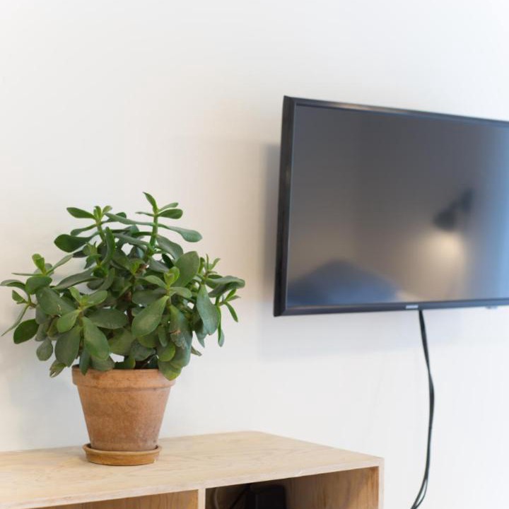 Photo of Others in Solroed Municipality