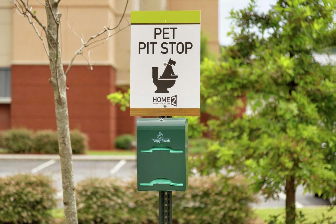 Photo of Others in Cartersville