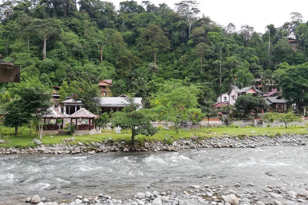 Photo of Others in Bukit Lawang