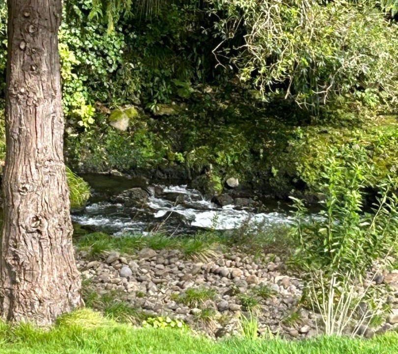 Photo of Others in New Plymouth