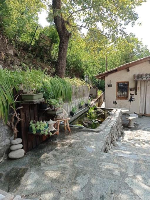 Photo of Buildings in Entrevaux