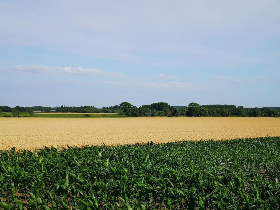 Photo of Outdoor in Noordpeene