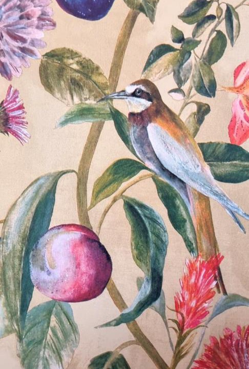 Photo of Others in Paparoa