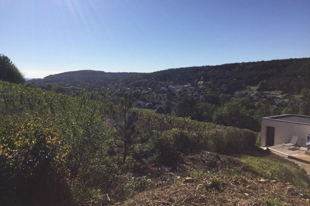 Photo of Outdoor in Savigny-les-Beaune