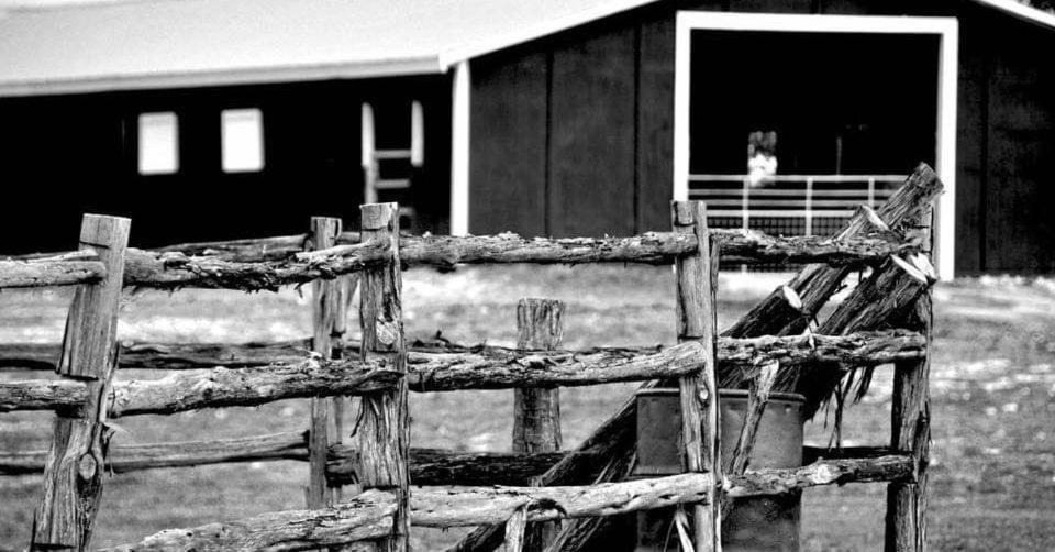 Photo of Others in Bandera