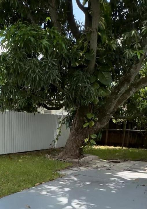 Photo of Others in Little Haiti