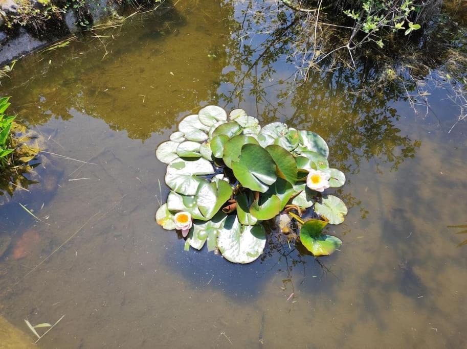 Photo of Others in Souesmes