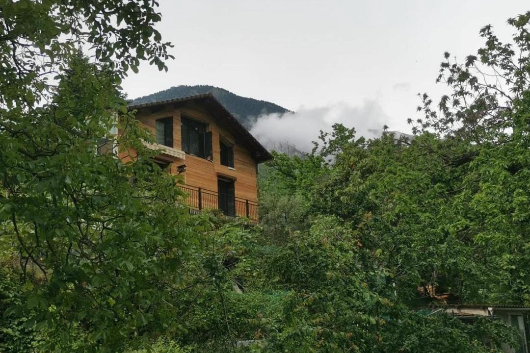 Photo of Others in Belvedere