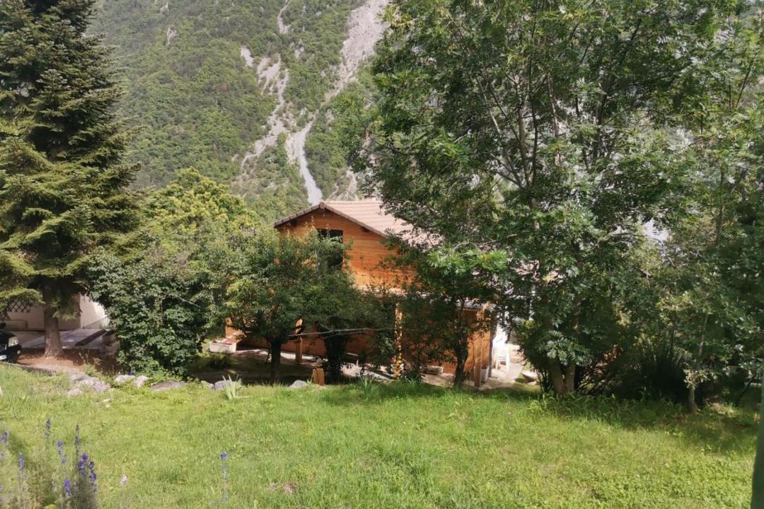 Photo of Others in Belvedere