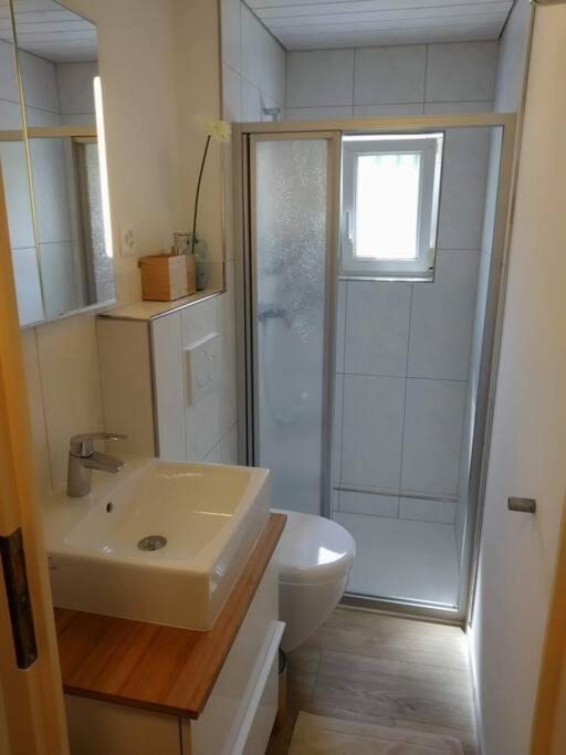 Photo of Bathroom in Herisau