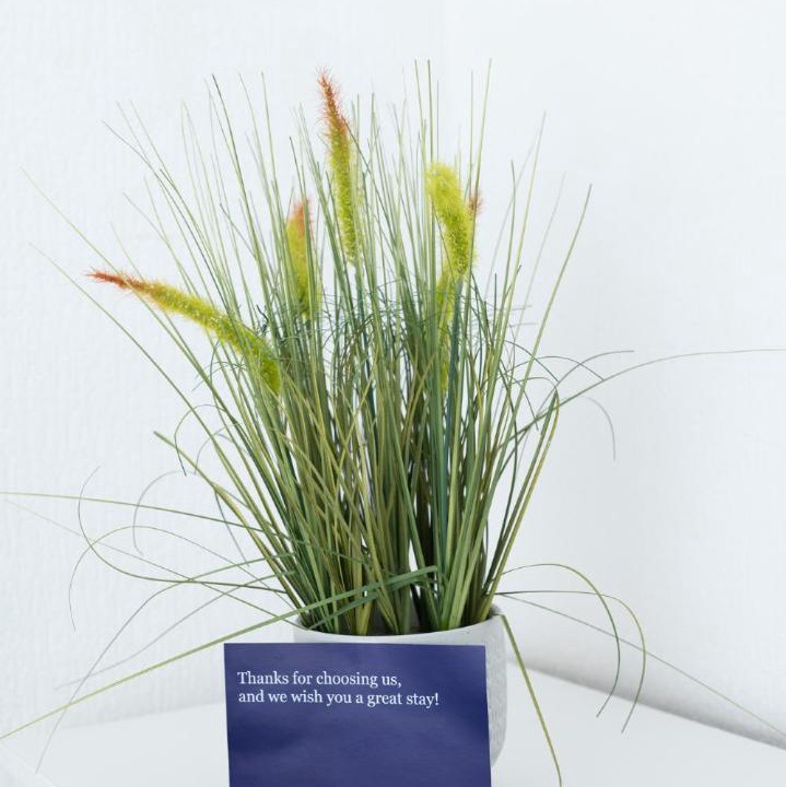 Photo of Others in Polesworth