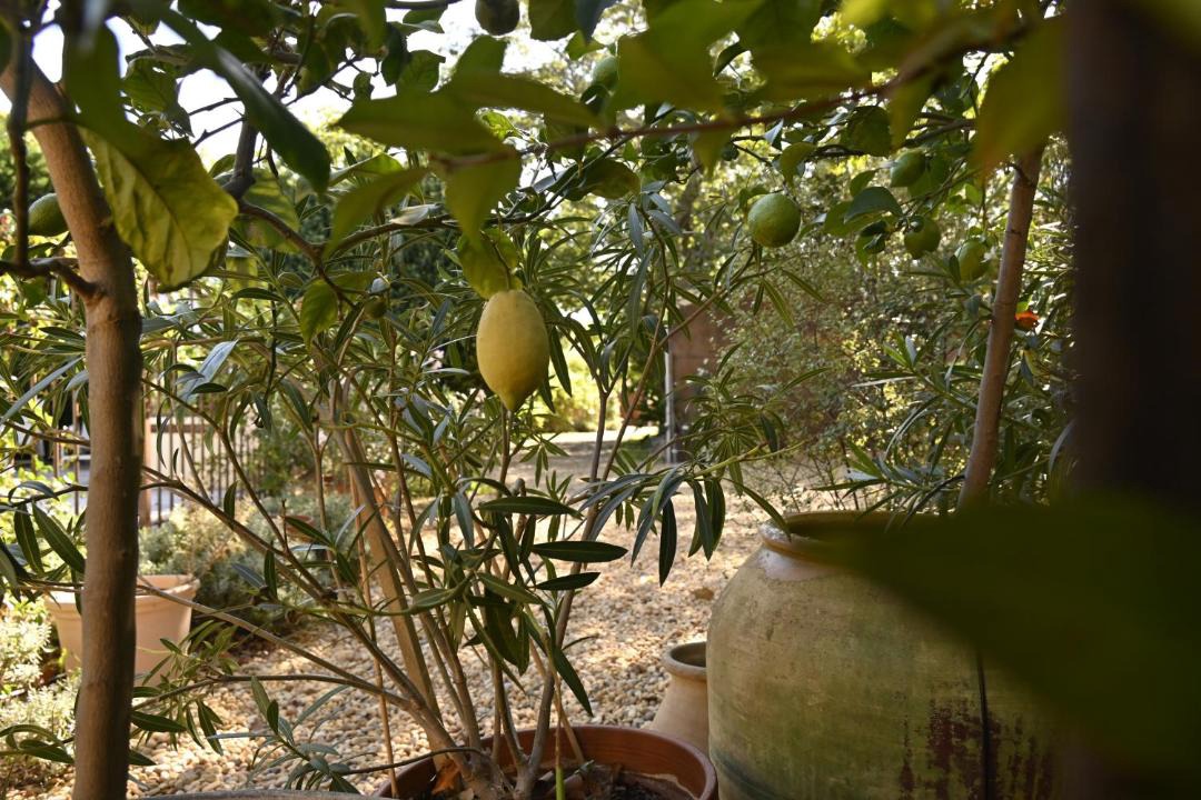 Photo of Others in Perpignan