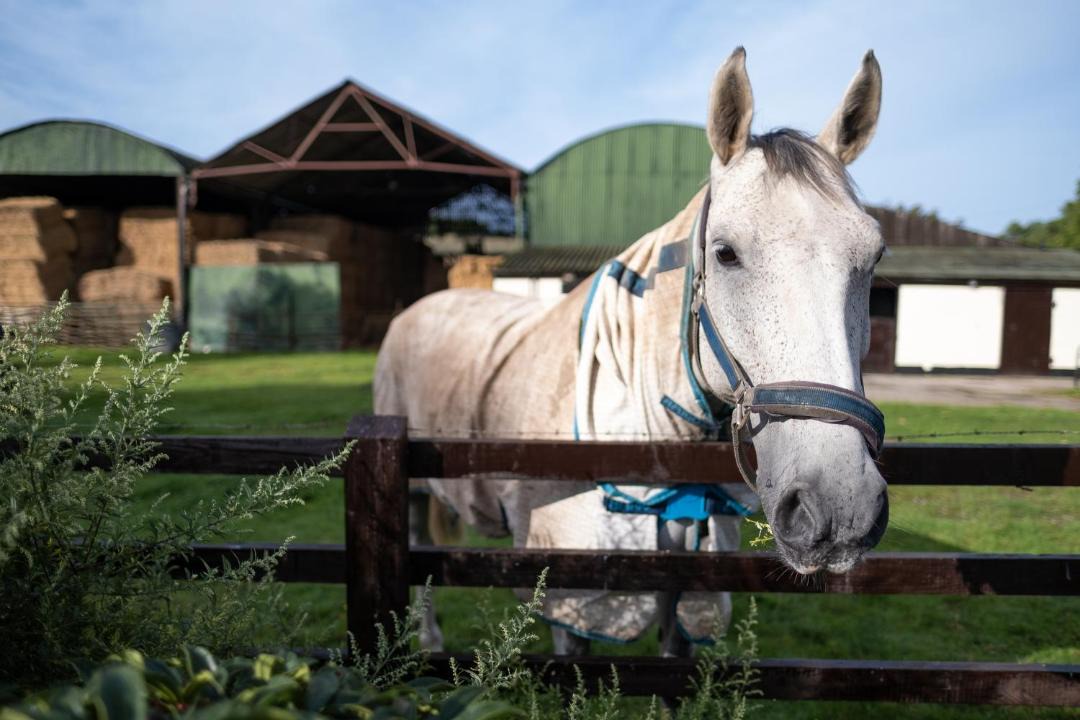 Photo of Others in Cannington