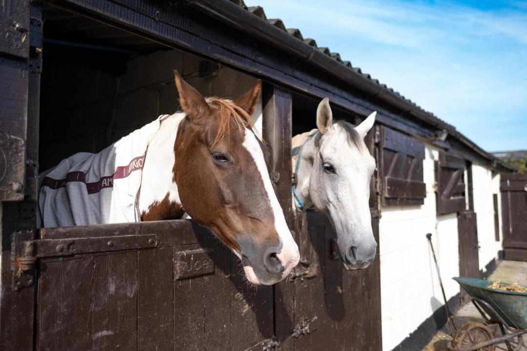 Photo of Others in Cannington