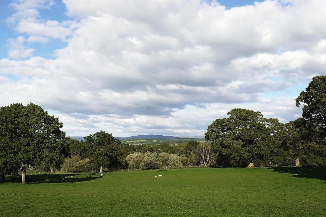 Photo of Others in Carlisle