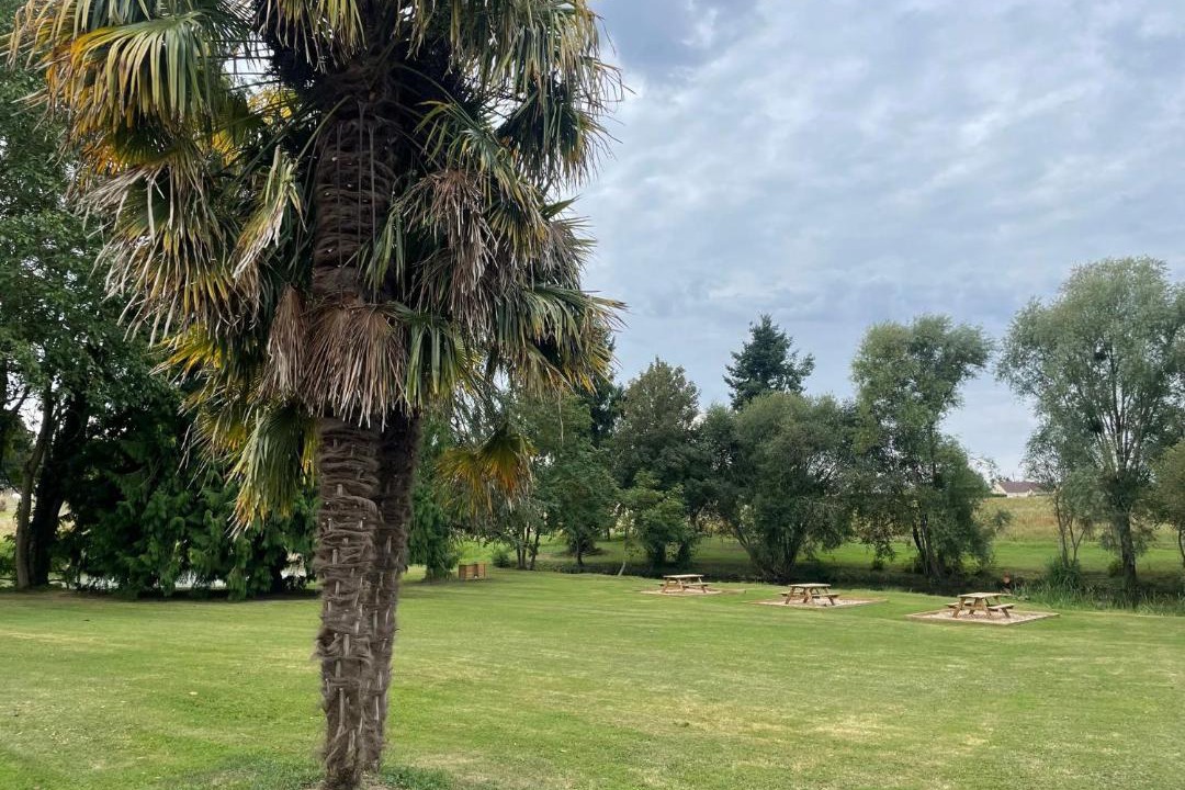 Photo of Others in Oize