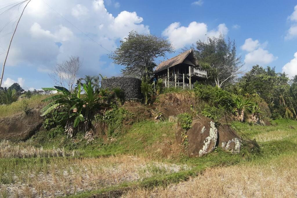 Photo of Others in West Selemadeg