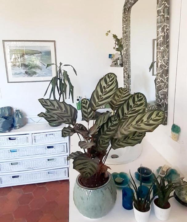 Photo of Others in Saint-Saens