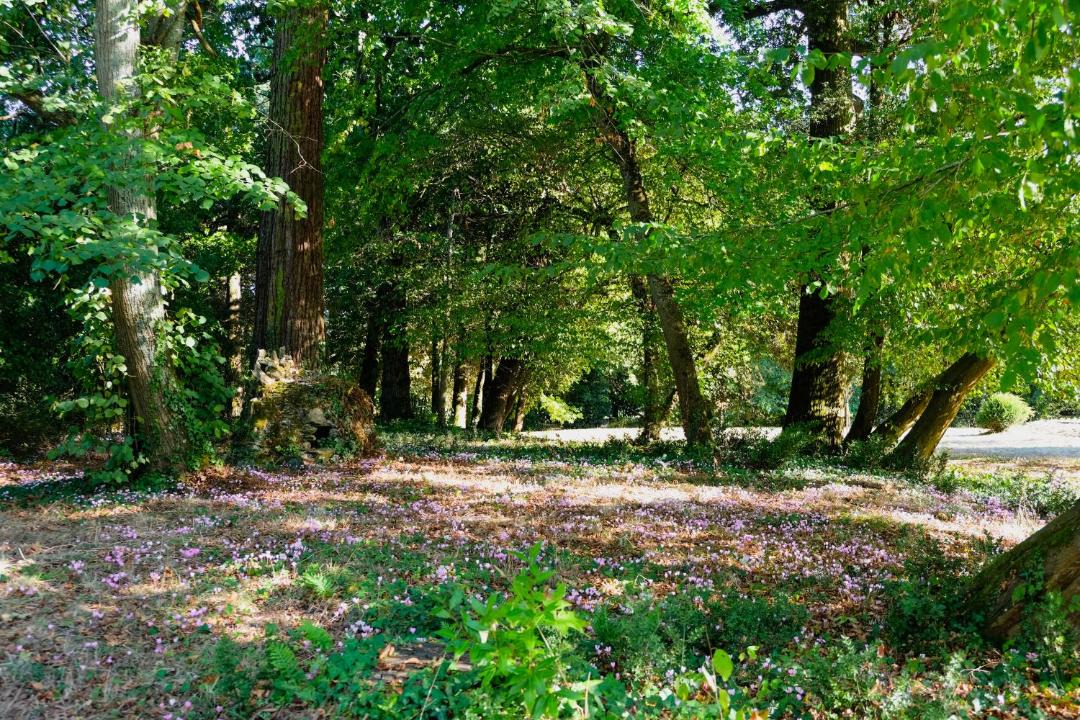 Photo of Others in Thouare-sur-Loire