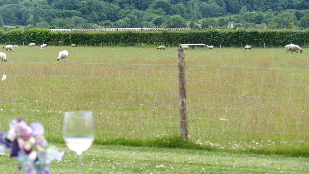 Photo of Others in Mangotsfield