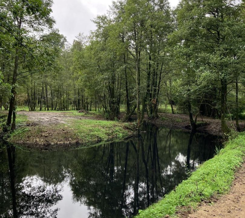 Photo of Others in Villebaudon