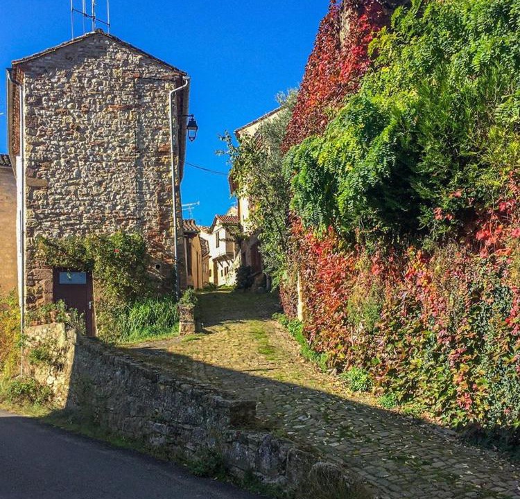 Photo of Others in Cordes-sur-Ciel