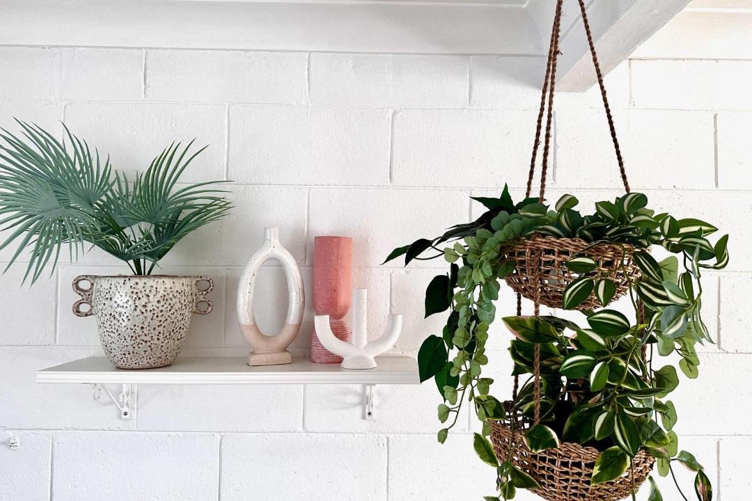 Photo of Others in Bateau Bay