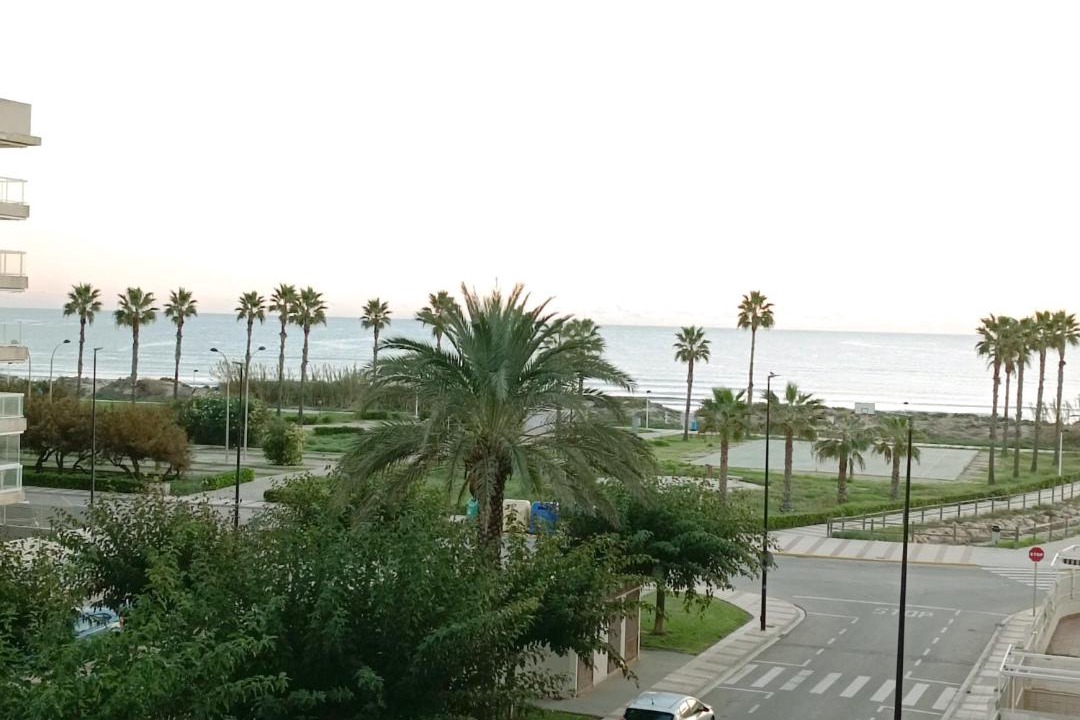 Photo of Others in Daimuz