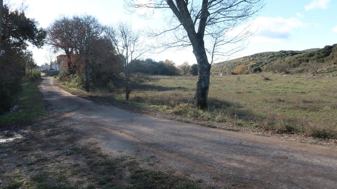 Photo of Others in Ferrieres-les-Verreries