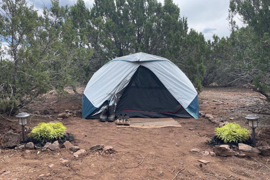 Photo of Others in Springerville