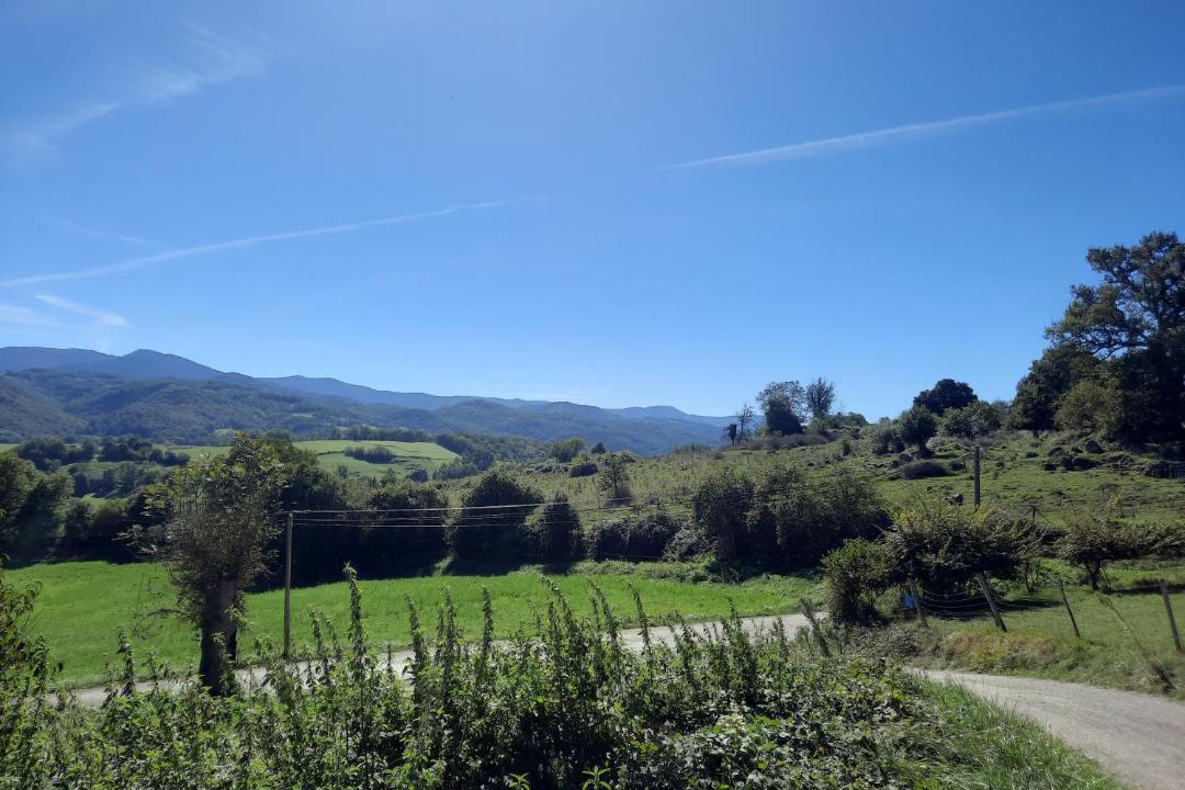 Photo of Outdoor in La Bastide-de-Serou