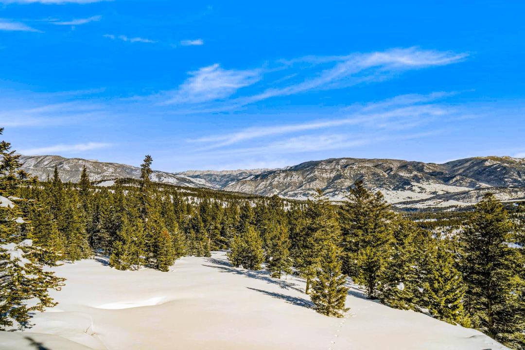 Photo of Others in Gallatin Gateway