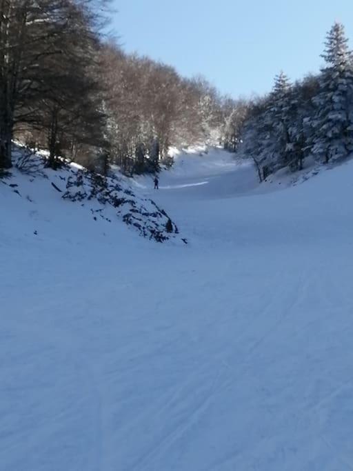 Photo of Others in Col de Rousset