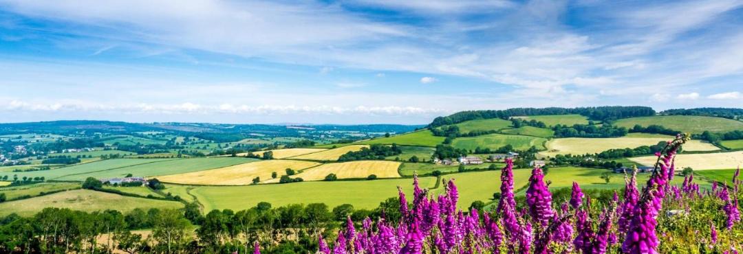 Photo of Outdoor in Bicton