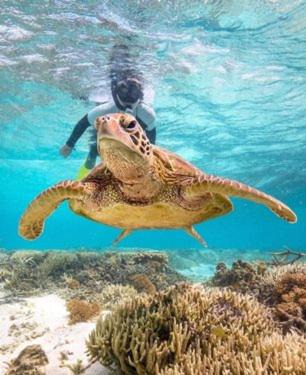 Photo of Others in Coral Cove