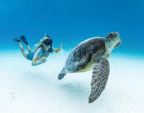 Photo of Others in Coral Cove