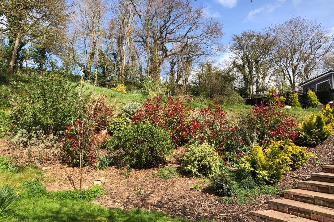 Photo of Others in West Buckland