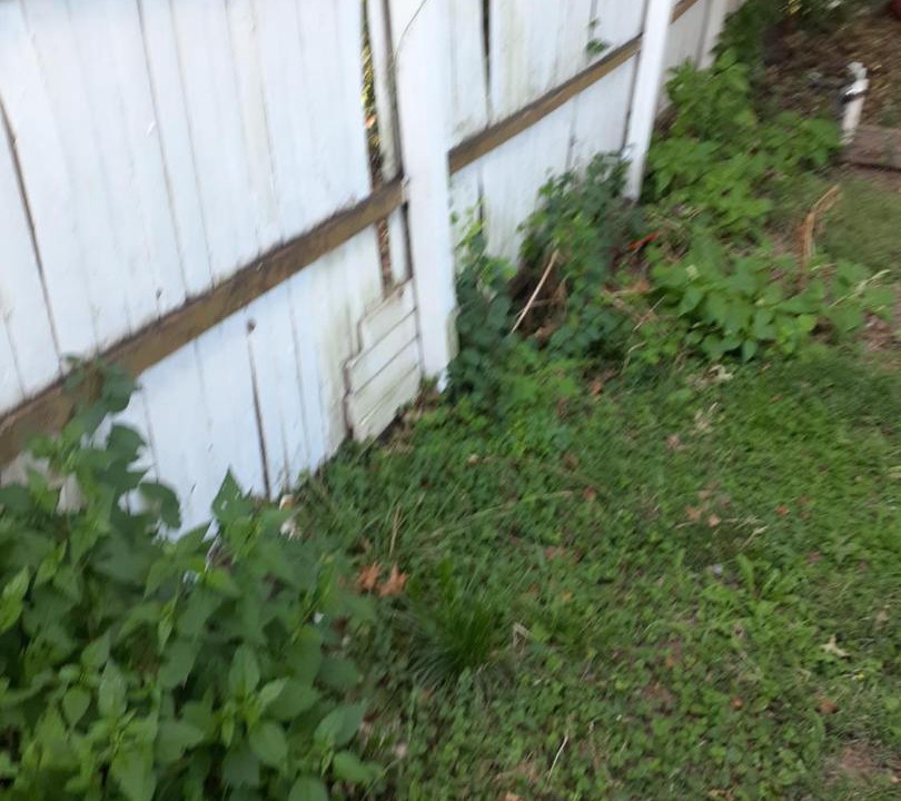 Photo of Others in Ampere