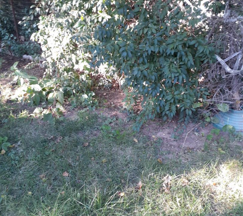 Photo of Others in Ampere